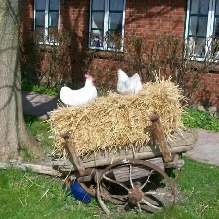 Ferienhaus Fur 2 Personen Ca 45 M In Pellworm, Nordfriesische Inseln Und Halligen Vakantiehuis