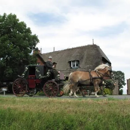 Vakantiehuis Ferienhaus Fur 2 Personen Ca 45 M In Pellworm, Nordfriesische Inseln Und Halligen Pellworm