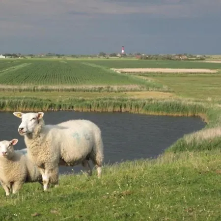 Ferienhaus Fur 2 Personen Ca 45 M In Pellworm, Nordfriesische Inseln Und Halligen Vakantiehuis *